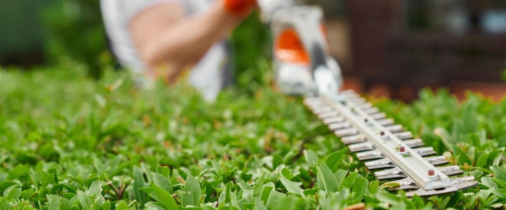 lawncareprotection_whitewoodlawncarekansascity
