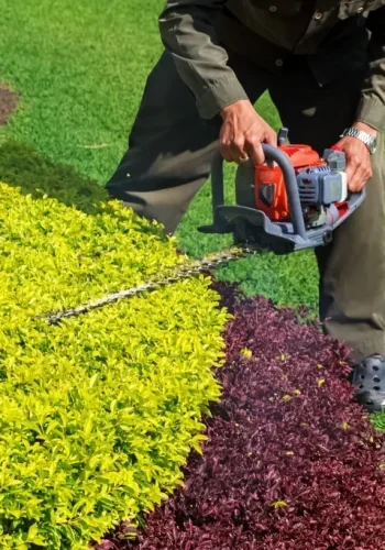 victory-shrub-trimming-1024×683-1-qq15qkd2zgmb2y8lxoen4sjg6z9z8rawf4eku0c748
