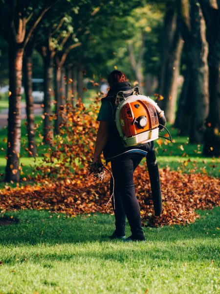 woman-operating-heavy-duty-leaf-blower-scaled.jpg woman-operating-heavy-duty-leaf-blower-scaled.jpg